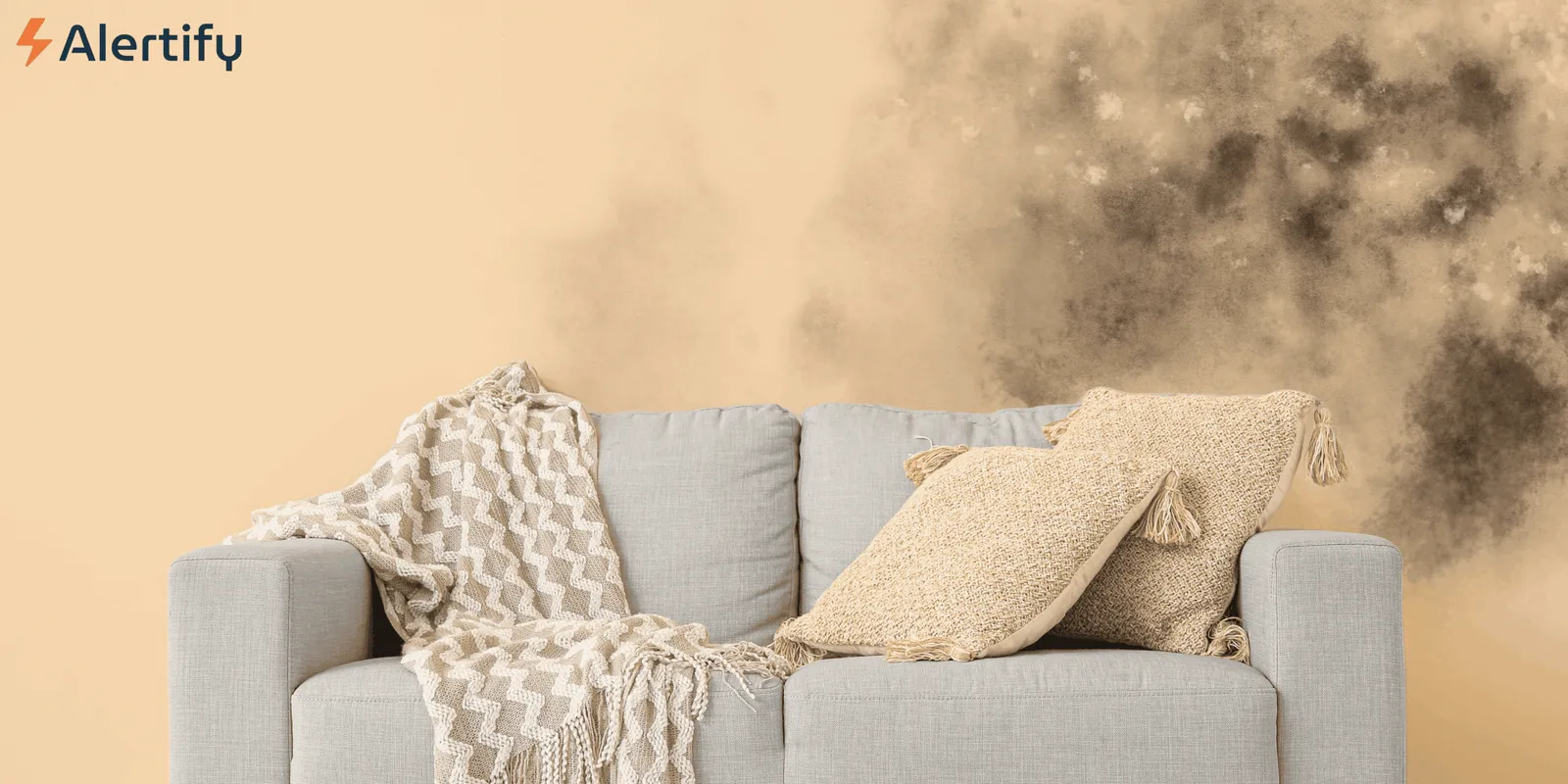 Black Mold vs. Mildew in Your Rental: A Host's Guide to Identification and Action black mold vs mildew in rental