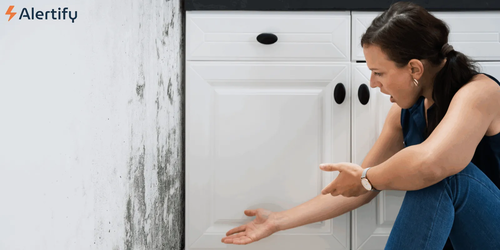 Mold in Your Rental: Understanding Your Legal and Financial Liabilities as a Host host liability for mold exposure
