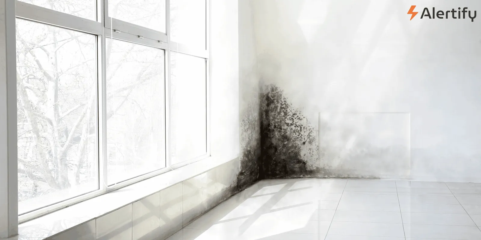 Top 7 Ways to Reduce Humidity in Your Vacation Rental and Stop Mold Before It Starts how to reduce humidity in a vacation rental