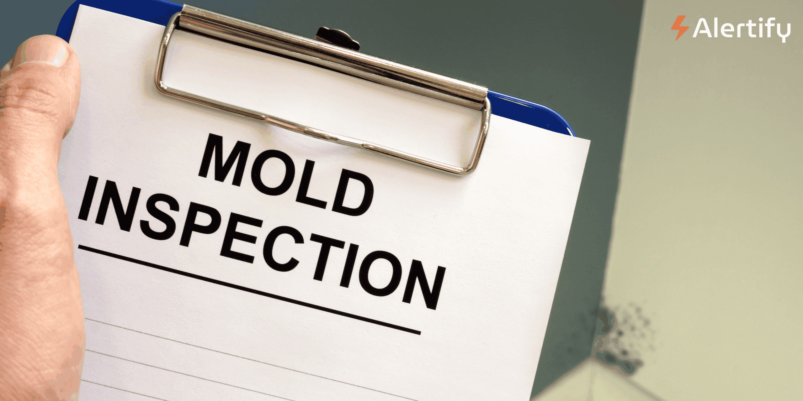 The True Cost of Negligence: Why Mold Prevention is Your Strongest Revenue Protection Strategy Hotel Mold Remediation Cost