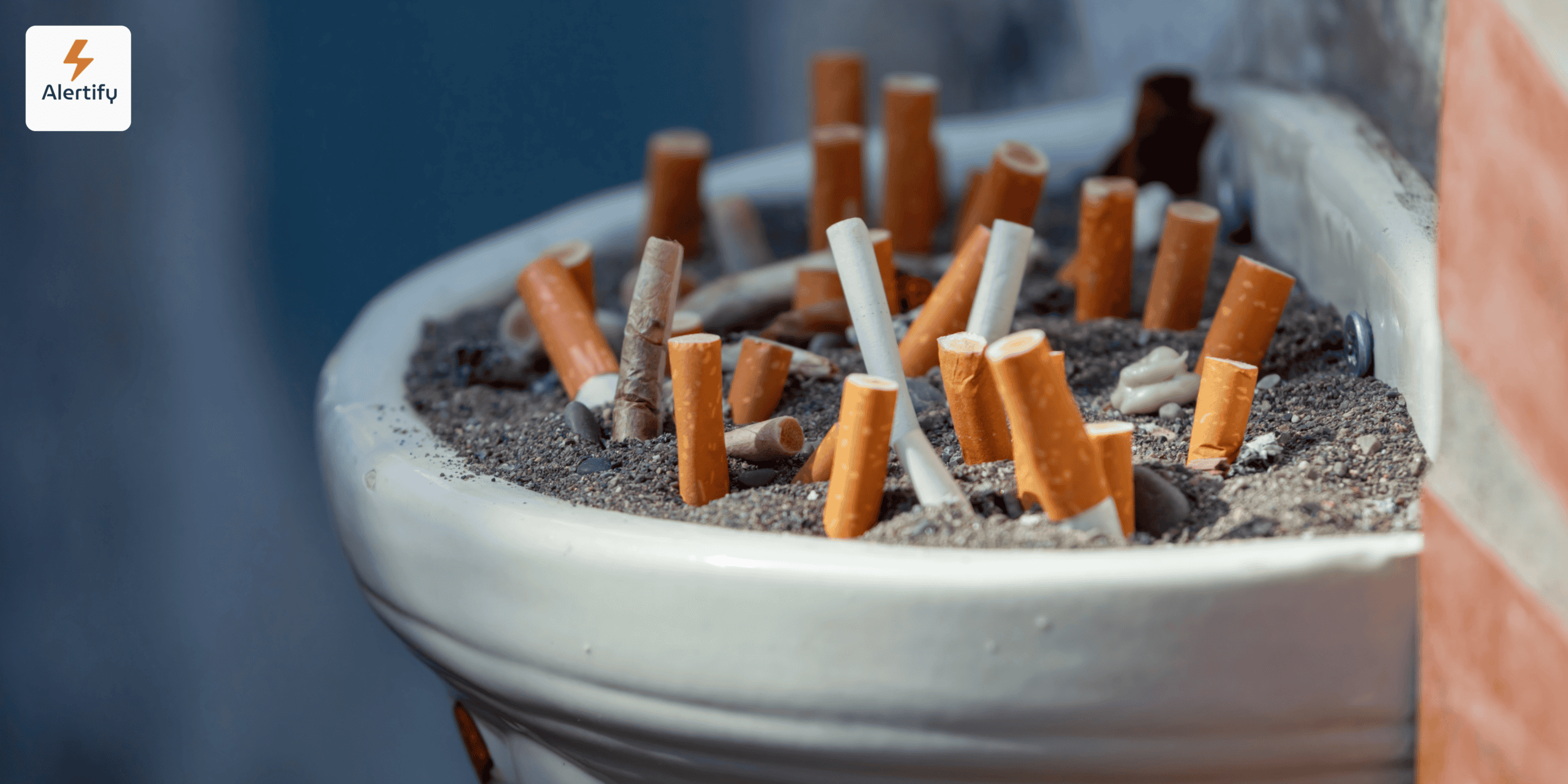 The Legal Side of Vacation Rental Smoking Laws: Host Rights and Guest Protections vacation rental smoking laws host rights