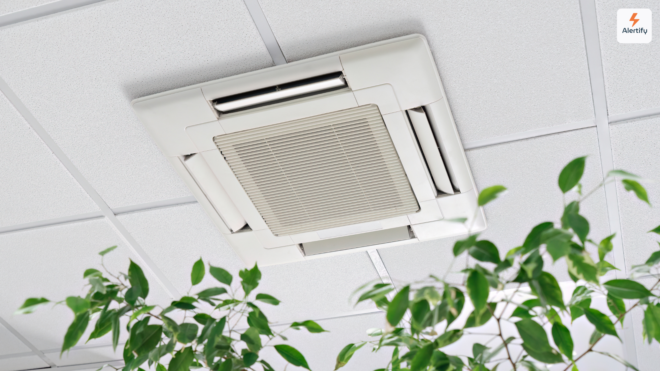 Air Quality Compliance for Vacation Rental Hosts: What You're Liable For air quality compliance vacation rental